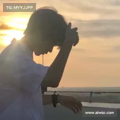 费朗标